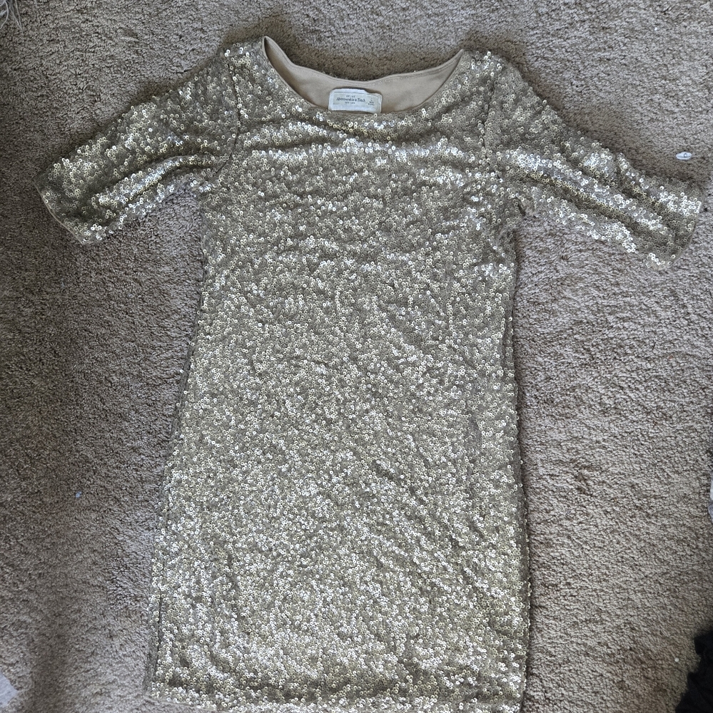 Sparkling Sequin Dress